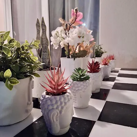 Lejlighed L'echiquier De - T2 Deco Soigne - Belle Terrasse -parking - Wifi
